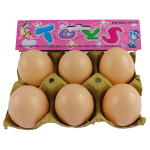 Plastic Egg Tray  Plastic Egg Tray